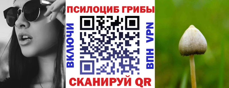 наркота  Новопавловск  Галлюциногенные грибы Cubensis 